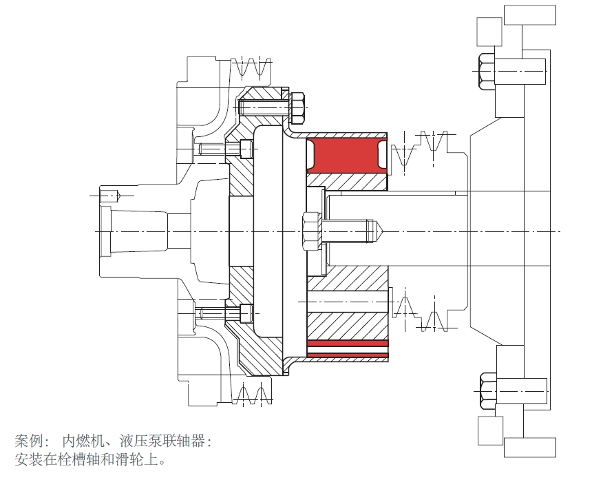 弹性联轴器-Cardaflex(图3)